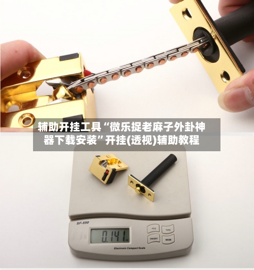 辅助开挂工具“微乐捉老麻子外卦神器下载安装”开挂(透视)辅助教程