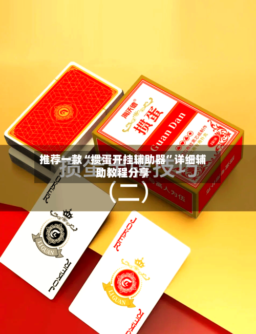 推荐一款“掼蛋开挂辅助器”详细辅助教程分享-第3张图片