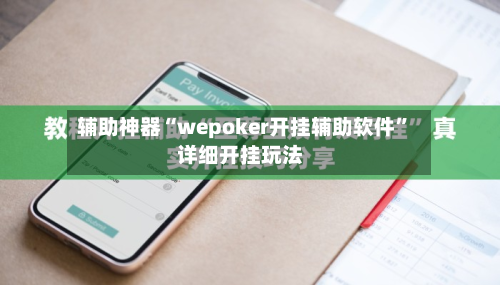 辅助神器“wepoker开挂辅助软件”详细开挂玩法-第2张图片