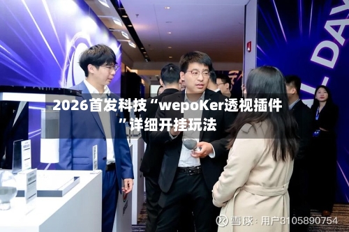 2026首发科技“wepoKer透视插件”详细开挂玩法
