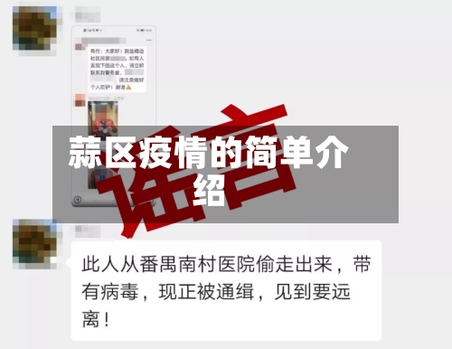 蒜区疫情的简单介绍-第2张图片