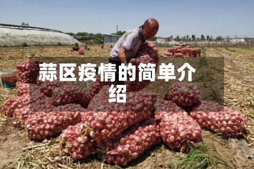 蒜区疫情的简单介绍-第1张图片
