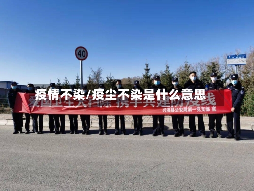 疫情不染/疫尘不染是什么意思-第1张图片