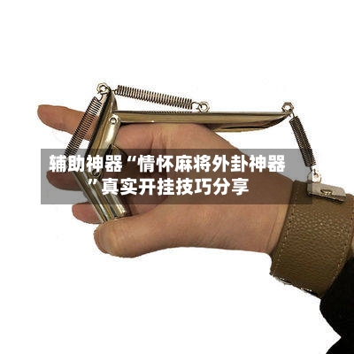 辅助神器“情怀麻将外卦神器”真实开挂技巧分享