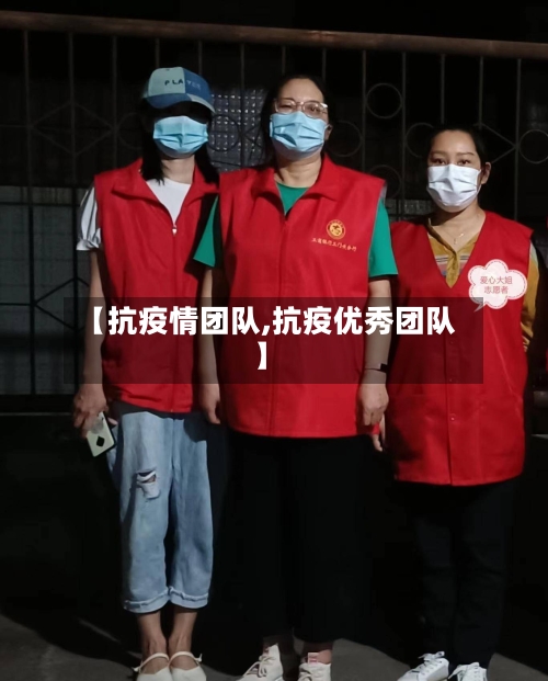 【抗疫情团队,抗疫优秀团队】