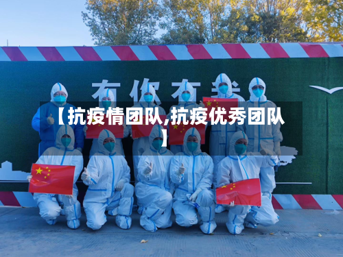 【抗疫情团队,抗疫优秀团队】-第3张图片