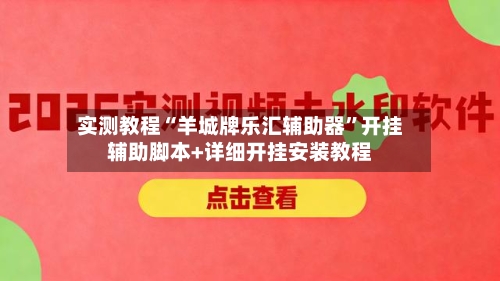 实测教程“羊城牌乐汇辅助器”开挂辅助脚本+详细开挂安装教程-第2张图片