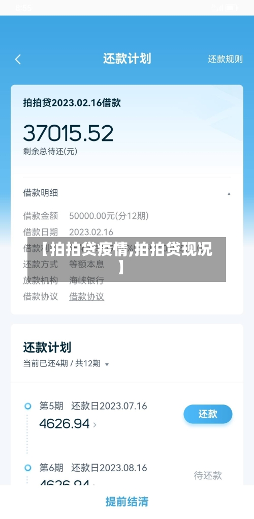 【拍拍贷疫情,拍拍贷现况】-第3张图片