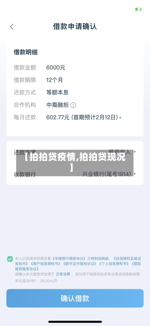 【拍拍贷疫情,拍拍贷现况】-第2张图片