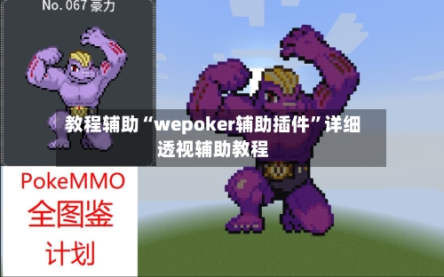 教程辅助“wepoker辅助插件”详细透视辅助教程-第3张图片