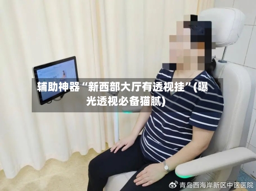 辅助神器“新西部大厅有透视挂”(曝光透视必备猫腻)