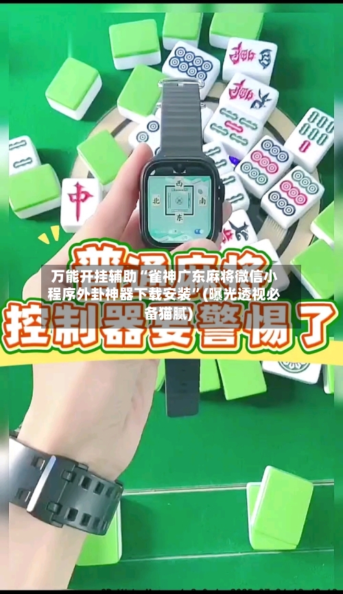 万能开挂辅助“雀神广东麻将微信小程序外卦神器下载安装	”(曝光透视必备猫腻)-第2张图片