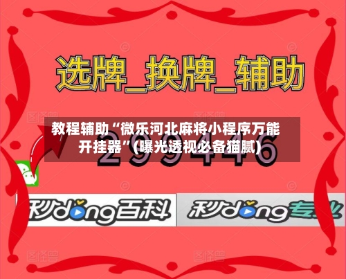 教程辅助“微乐河北麻将小程序万能开挂器”(曝光透视必备猫腻)