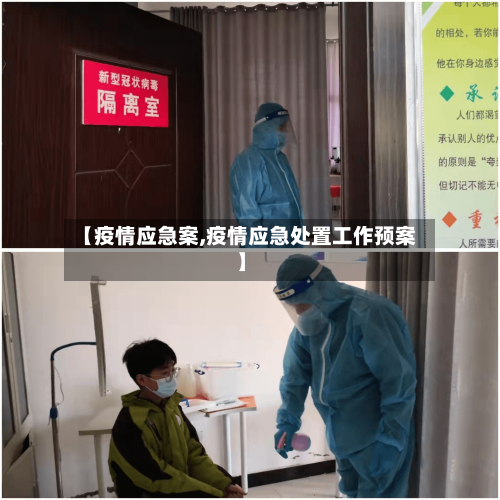 【疫情应急案,疫情应急处置工作预案】-第2张图片