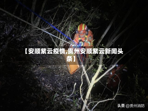 【安顺紫云疫情,贵州安顺紫云新闻头条】-第3张图片