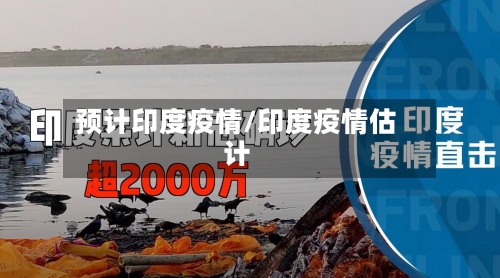 预计印度疫情/印度疫情估计