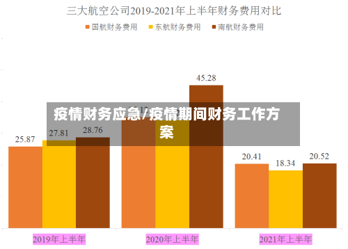 疫情财务应急/疫情期间财务工作方案