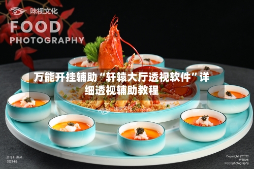 万能开挂辅助“轩辕大厅透视软件	”详细透视辅助教程-第1张图片