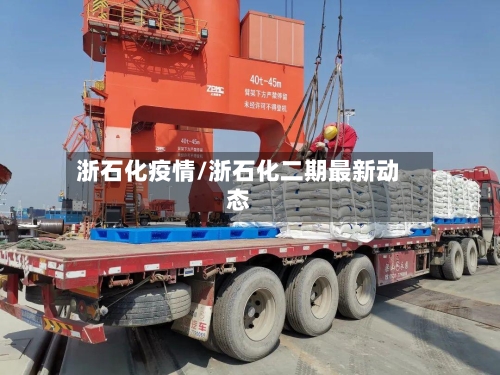 浙石化疫情/浙石化二期最新动态-第2张图片