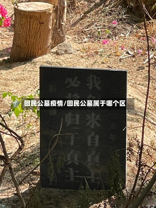 回民公墓疫情/回民公墓属于哪个区-第2张图片