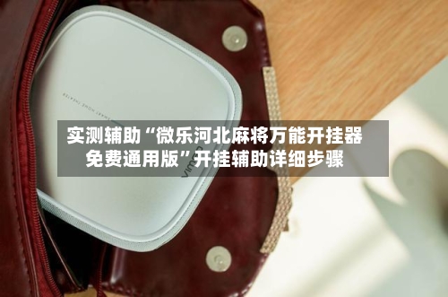 实测辅助“微乐河北麻将万能开挂器免费通用版”开挂辅助详细步骤-第1张图片