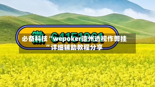 必备科技“wepoker德州透视作弊挂”详细辅助教程分享-第3张图片