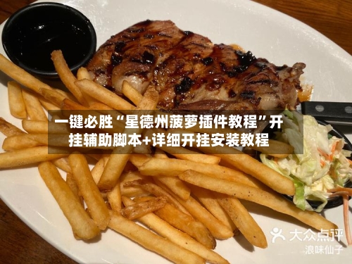 一键必胜“星德州菠萝插件教程”开挂辅助脚本+详细开挂安装教程-第3张图片