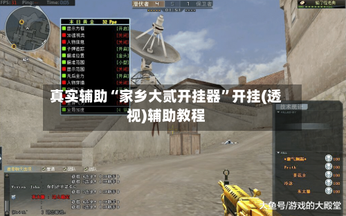 真实辅助“家乡大贰开挂器”开挂(透视)辅助教程-第3张图片