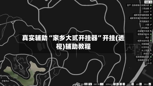 真实辅助“家乡大贰开挂器	”开挂(透视)辅助教程-第2张图片