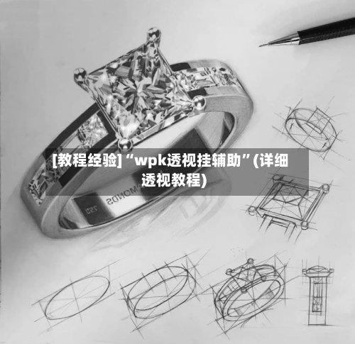 [教程经验]“wpk透视挂辅助”(详细透视教程)-第1张图片