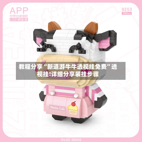 教程分享“新道游牛牛透视挂免费”透视挂!详细分享装挂步骤-第2张图片