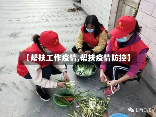 【帮扶工作疫情,帮扶疫情防控】-第2张图片