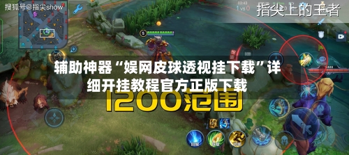 辅助神器“娱网皮球透视挂下载”详细开挂教程官方正版下载-第3张图片