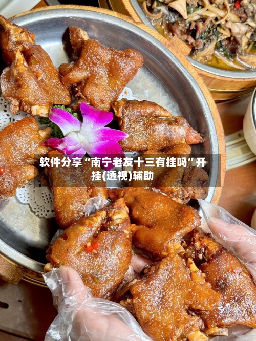 软件分享“南宁老友十三有挂吗”开挂(透视)辅助-第1张图片