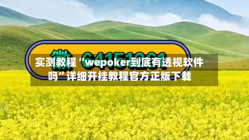 实测教程“wepoker到底有透视软件吗”详细开挂教程官方正版下载-第2张图片