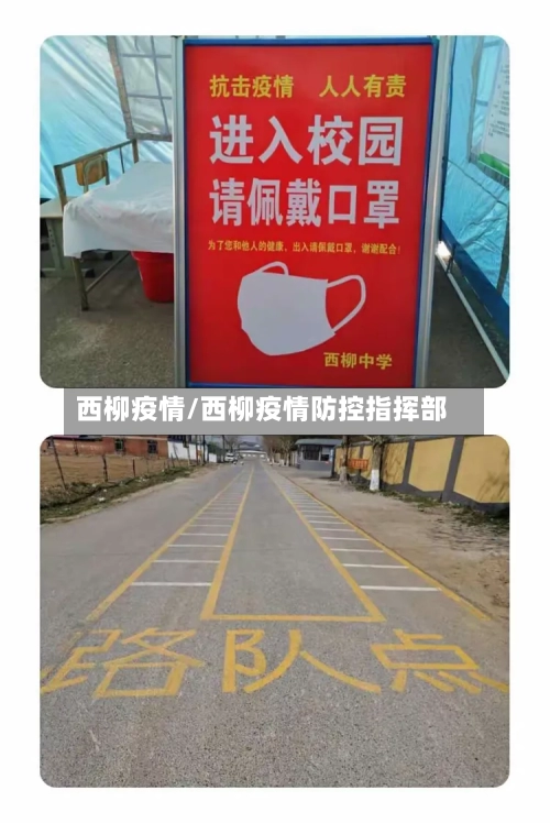 西柳疫情/西柳疫情防控指挥部-第2张图片