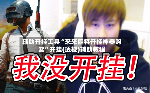 辅助开挂工具“来来麻将开挂神器购买”开挂(透视)辅助教程-第2张图片