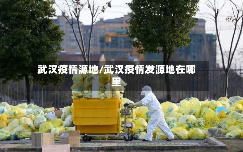 武汉疫情源地/武汉疫情发源地在哪里-第1张图片