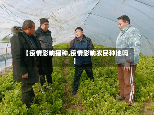 【疫情影响播种,疫情影响农民种地吗】-第2张图片