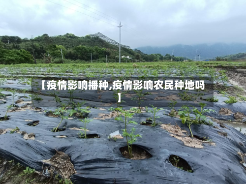 【疫情影响播种,疫情影响农民种地吗】-第1张图片