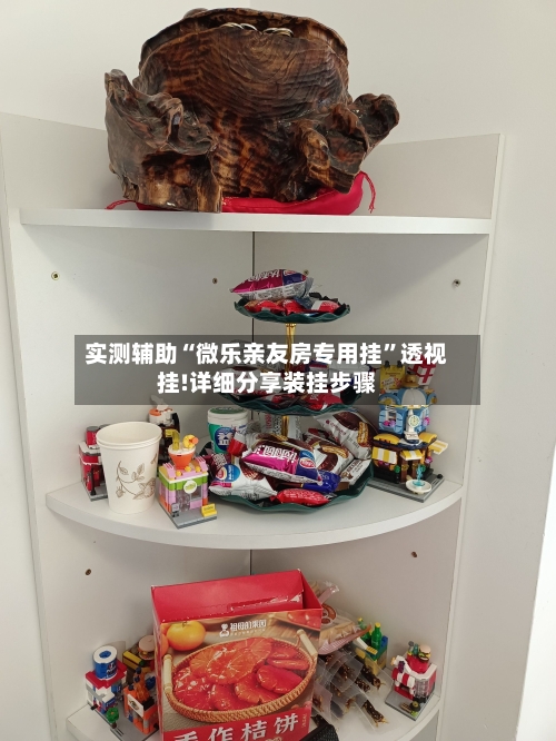 实测辅助“微乐亲友房专用挂”透视挂!详细分享装挂步骤-第2张图片