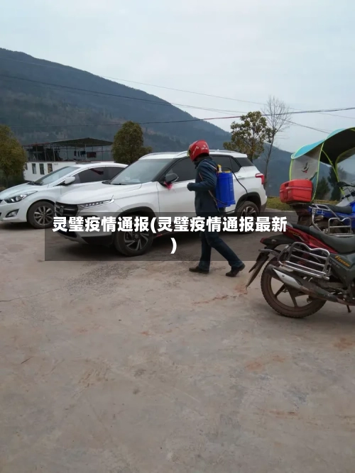 灵璧疫情通报(灵璧疫情通报最新)-第2张图片