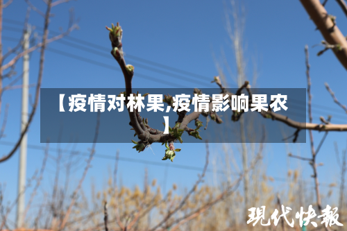【疫情对林果,疫情影响果农】-第1张图片