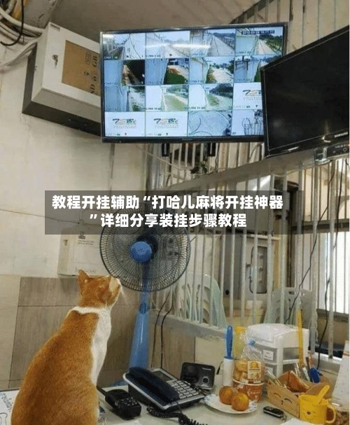 教程开挂辅助“打哈儿麻将开挂神器”详细分享装挂步骤教程