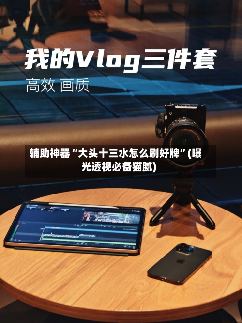 辅助神器“大头十三水怎么刷好牌”(曝光透视必备猫腻)-第3张图片