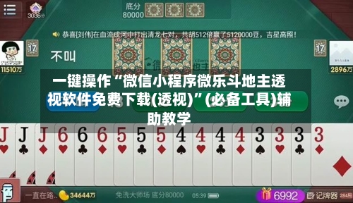 一键操作“微信小程序微乐斗地主透视软件免费下载(透视)”(必备工具)辅助教学-第3张图片