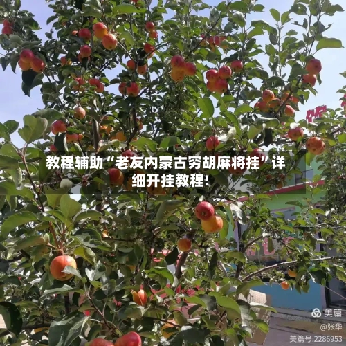 教程辅助“老友内蒙古穷胡麻将挂	”详细开挂教程!-第2张图片