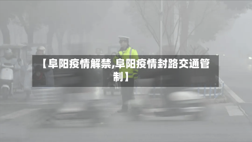 【阜阳疫情解禁,阜阳疫情封路交通管制】-第1张图片
