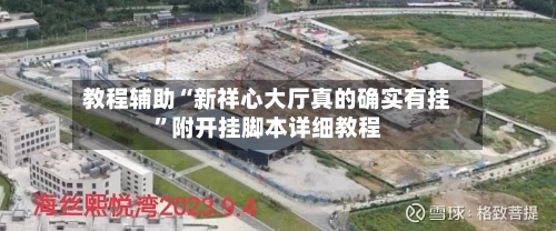 教程辅助“新祥心大厅真的确实有挂	”附开挂脚本详细教程-第1张图片