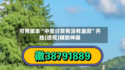 可用版本“中至讨赏有没有漏洞	”开挂(透视)辅助神器-第2张图片